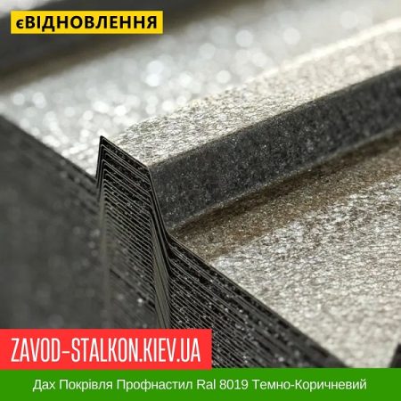 Дах Покрівля Профнастил Ral 8019 Темно-Коричневий