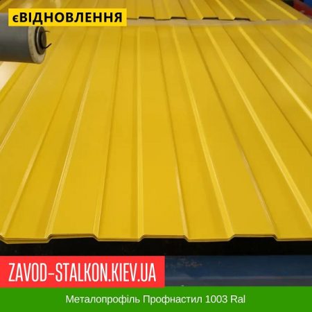 Металопрофіль Профнастил 1003 Ral