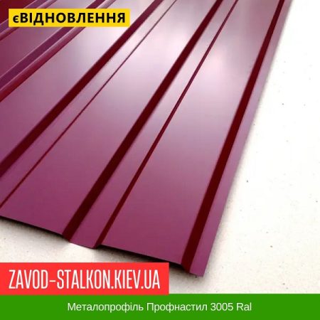 Металопрофіль Профнастил 3005 Ral