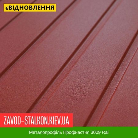 Металопрофіль Профнастил 3009 Ral