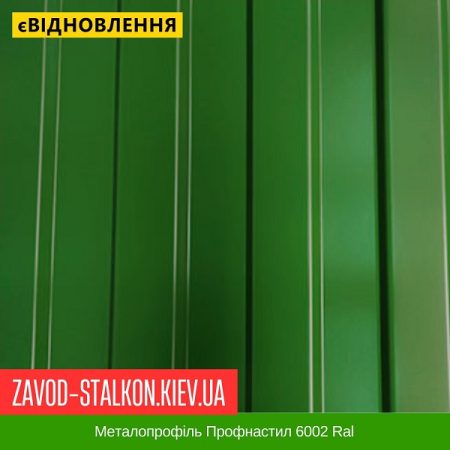 Металопрофіль Профнастил 6002 Ral