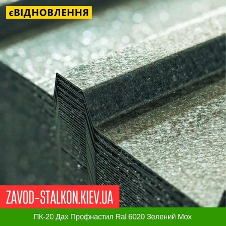 ПК-20 Дах Профнастил Ral 6020 Зелений Мох
