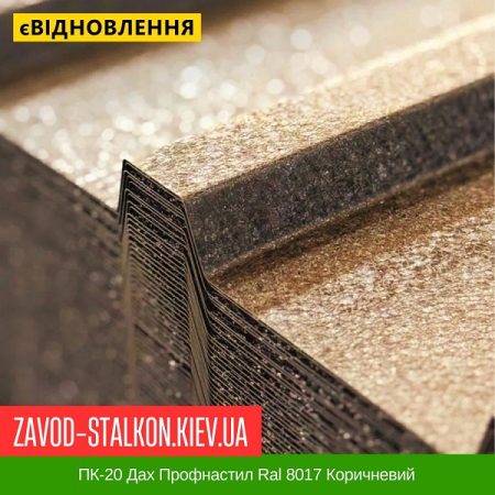 ПК-20 Дах Профнастил Ral 8017 Коричневий