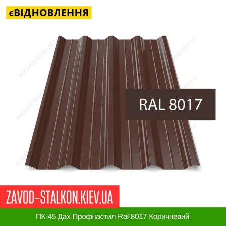 ПК-45 Дах Профнастил Ral 8017 Коричневий