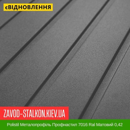 Polistil Металопрофіль Профнастил 7016 Ral Матовий 0,42