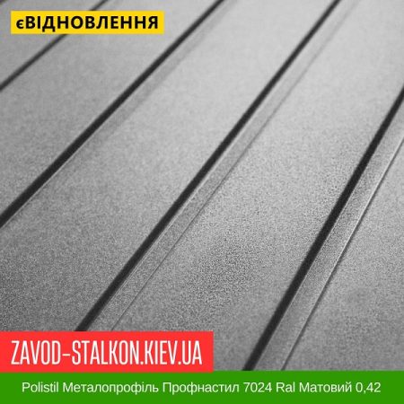 Polistil Металопрофіль Профнастил 7024 Ral Матовий 0,42