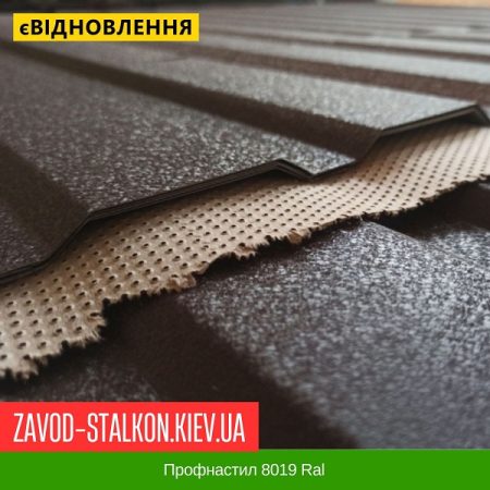 Профнастил 8019 Ral