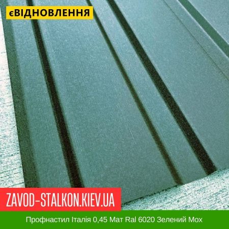 Профнастил Італія 0,45 Мат Ral 6020 Зелений Мох