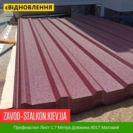 Профнастил Лист 1,7 Метра Довжина 8017 Матовий