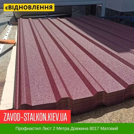 Профнастил Лист 2 Метра Довжина 8017 Матовий